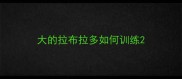 大的拉布拉多如何训练