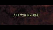 人狂犬疫苗在哪打