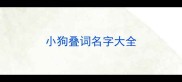 小狗叠词名字大全