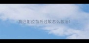 狗注射疫苗后过敏怎么救治