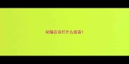 幼猫应该打什么疫苗