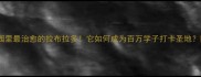 宿州大学校园里最治愈的拉布拉多它如何成为百万学子打卡圣地附养护攻略