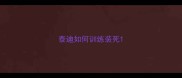 泰迪如何训练装死