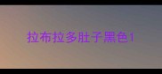 拉布拉多肚子黑色