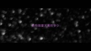 边牧微量元素吃多少