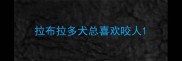 拉布拉多犬总喜欢咬人