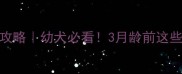 狗狗疫苗时间表全攻略幼犬必看3月龄前这些疫苗不能少