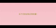 五个月的边牧正常体重