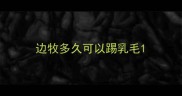边牧多久可以踢乳毛