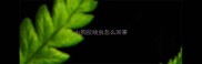 小狗拉线虫怎么回事