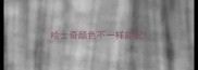 哈士奇颜色不一样能配
