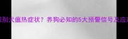 如何识别犬瘟热症状养狗必知的5大预警信号及应对指南