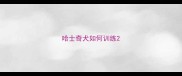 哈士奇犬如何训练