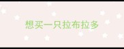 想买一只拉布拉多