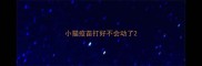 小猫疫苗打好不会动了