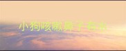 小狗咳嗽鼻子有水