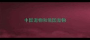 中国宠物和俄国宠物