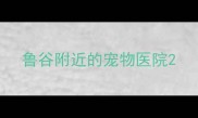 鲁谷附近的宠物医院