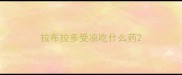 拉布拉多受凉吃什么药