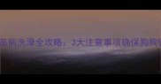 比熊犬疫苗前洗澡全攻略3大注意事项确保狗狗健康安全