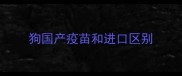 狗国产疫苗和进口区别