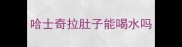 哈士奇拉肚子能喝水吗