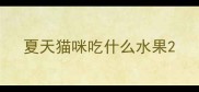 夏天猫咪吃什么水果