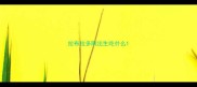 拉布拉多刚出生吃什么