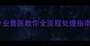 被猫抓了要打几次疫苗专业兽医教你全流程处理指南附疫苗种类与时间表