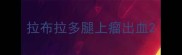 拉布拉多腿上瘤出血
