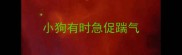 小狗有时急促踹气