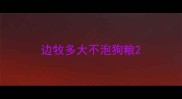 边牧多大不泡狗粮