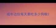 成年边牧每天要吃多少狗粮