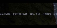 泰迪幼犬必看疫苗注射全攻略部位时间注意事项一次说清