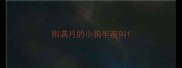 刚满月的小狗半夜叫