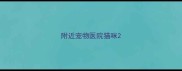 附近宠物医院猫咪