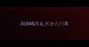 狗狗喝水吐水怎么回事
