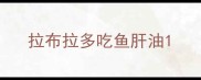 拉布拉多吃鱼肝油