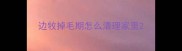 边牧掉毛期怎么清理家里