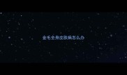 金毛全身皮肤病怎么办