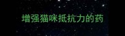 增强猫咪抵抗力的药