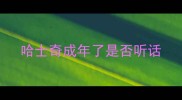 哈士奇成年了是否听话