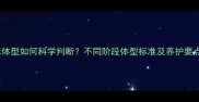 猫咪体型如何科学判断不同阶段体型标准及养护要点全