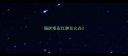 猫咪眼皮红肿怎么办