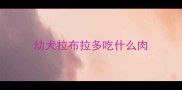 幼犬拉布拉多吃什么肉