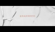金毛幼犬何时打针