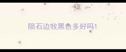陨石边牧黑色多好吗