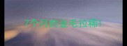 7个月的金毛拉稀