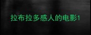 拉布拉多感人的电影