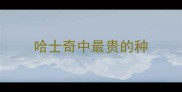 哈士奇中最贵的种